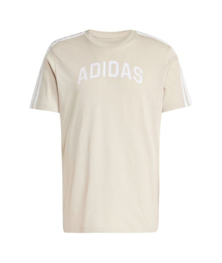 T-shirt adidas Homme Collège Crème