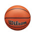 Balle basket-ball Wilson Homme par Evolution Bskt Emea Brown