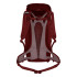 Sac à dos Montagne Femme de Salewa Alp Mate 30 Red Syrah