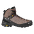 Chaussures Montagne Homme de Salewa Ms Alp Trainer 2 Mid Gtx Marron/Orange