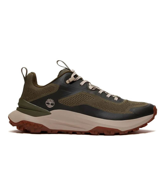 Chaussures Timberland  Motion Acces Low Lace UP...