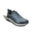 Chaussures Montagne adidas Homme par Terrex Anylander Grey