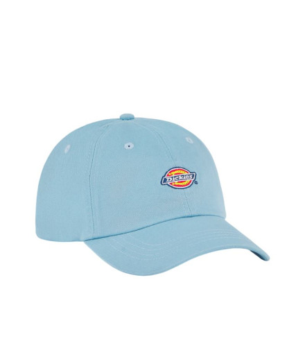 Casquette Dickies Voie aérienne de Hardwick Homme