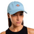 Casquette Dickies Voie aérienne de Hardwick Homme