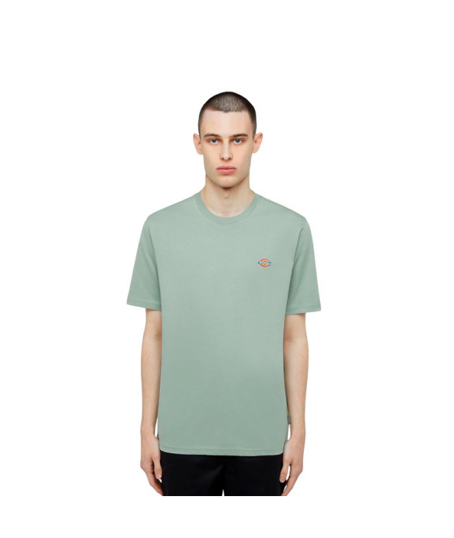 T-shirt Dickies Ss Mapleton Tee Iceberg Green...