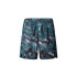 Pantalon Montagne Homme by The north Face 24/7 7In Aop vert