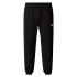 Pantalon montagne Homme by The north Face Simple Dome Light Regular Black