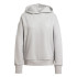 Sweat adidas Femme All Szn Fleece Loose ie Grey