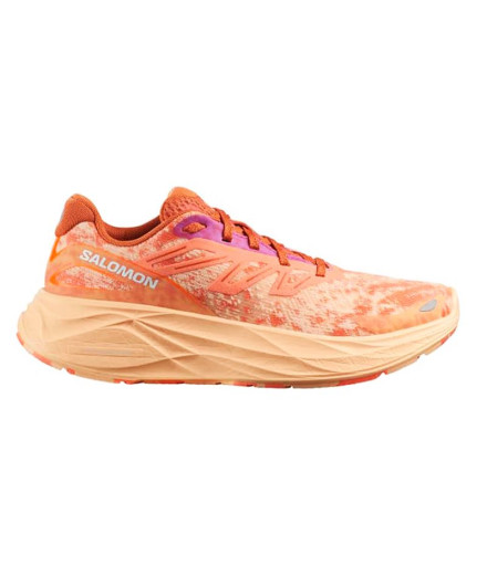 Chaussures Salomon X Ultra 360 Ltr Gtx Grisai/Caramel...