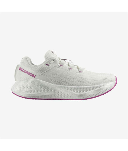 Chaussures Trail Salomon de Aero Glide 3...