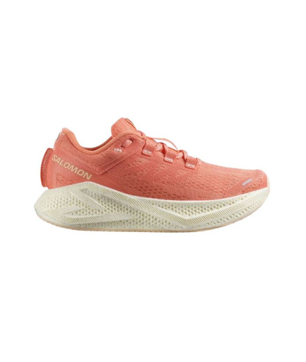 Chaussures Trail Salomon Femme de Aero Glide 3 Fusion...