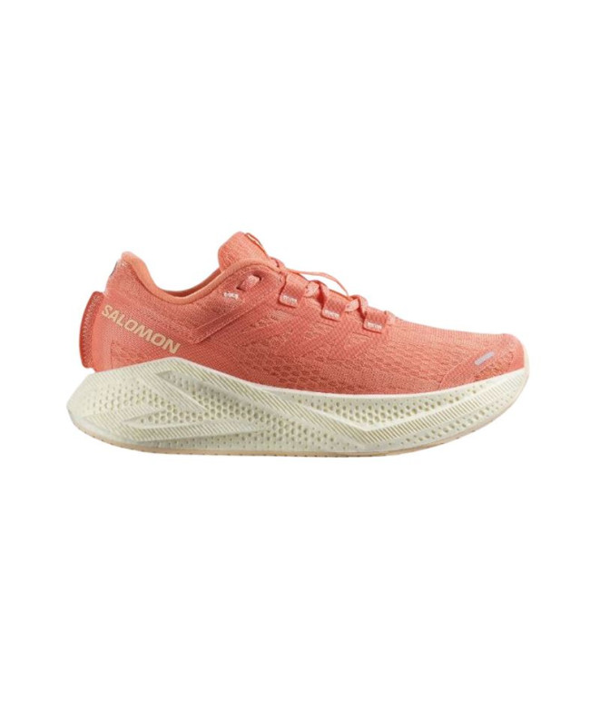 Chaussures Trail Salomon Femme de Aero Glide 3...