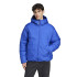 Veste de Montagne adidas Traveer Down Homme Bleu