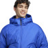 Veste de Montagne adidas Traveer Down Homme Bleu