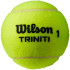Balles de Tennis Wilson Triniti Tball 4 Ball Can Jaune