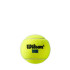 Balles de Tennis Wilson Tour Premier All Ct 4 Ball Can Noir/Or