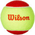 Balles de Tennis Wilson Starter Red Tball 3 Pack Jaune