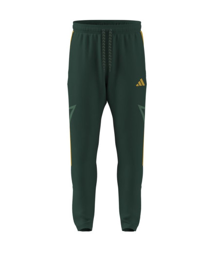 Pantalons adidas Tiro Cb_Np Homme Vert Foncé
