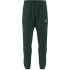 Pantalons adidas Tiro Cb_Np Homme Vert Foncé