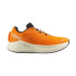 Chaussures de Trail Salomon Aero Glide 3 Turmeric/White/Black Homme