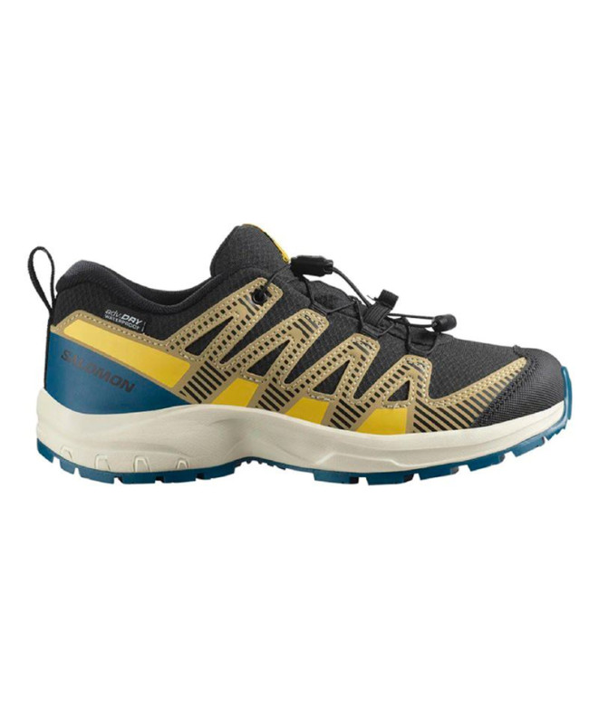 Chaussures de Montagne Salomon Xa Pro V8...