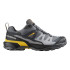 Chaussures de Montagne Salomon X Ultra 360 Gtx Castlerock/Black/Spicy Homme