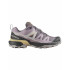 Chaussures de Montagne Salomon X Ultra 360 W Excalibur/Nirvana/Hazelnut Femme