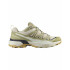 Chaussures de Montagne Salomon X Ultra 360 Edge Homme Almond Milk/Gray Green