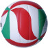 Balle de Volley-ball Molten V5M1300