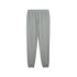 Pantalon Puma Essentials No. 1 Logo Homme Gris