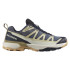 Chaussures de Montagne Salomon X Ultra 360 Edge Gtx  Homme Bleu Marine