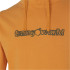 Sweat de Montagne Trangoworld Salvan Homme Orange