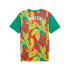 T-shirt de Football Puma Sénégal Prematch Ss Homme Vert