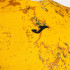 T-shirt De Trail Joma R-Trail Nature Orange Homme