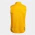 Sweat de Montagne Joma R-Nature Homme Or