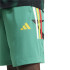 Pantalons adidas Tiro Cb_Np Sh Homme Vert