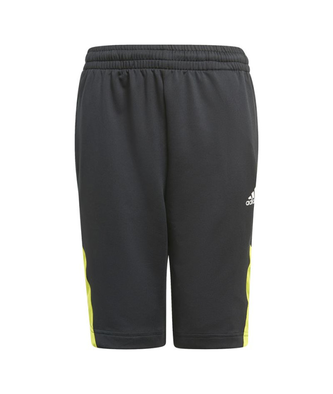 Pantalon d'entraînement adidas Predator Inspired