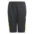 Pantalon d'entraînement adidas Predator Inspired