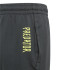 Pantalon d'entraînement adidas Predator Inspired