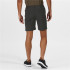Pantalon de trekking Regatta Highton