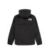Veste de montagne The North Face 1990 Mountain Q Man