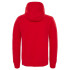 Sweat de Montagne The North Face Drew Peak Homme