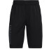 Pantalon d'entraînement Under Armour Mot-symbole Prototype 2.0
