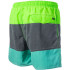 Maillot de bain de Natation Rip Curl Volley Aggrosection 16 Boards Homme print