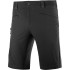 Pantalon de montagne Salomon Wayfarer