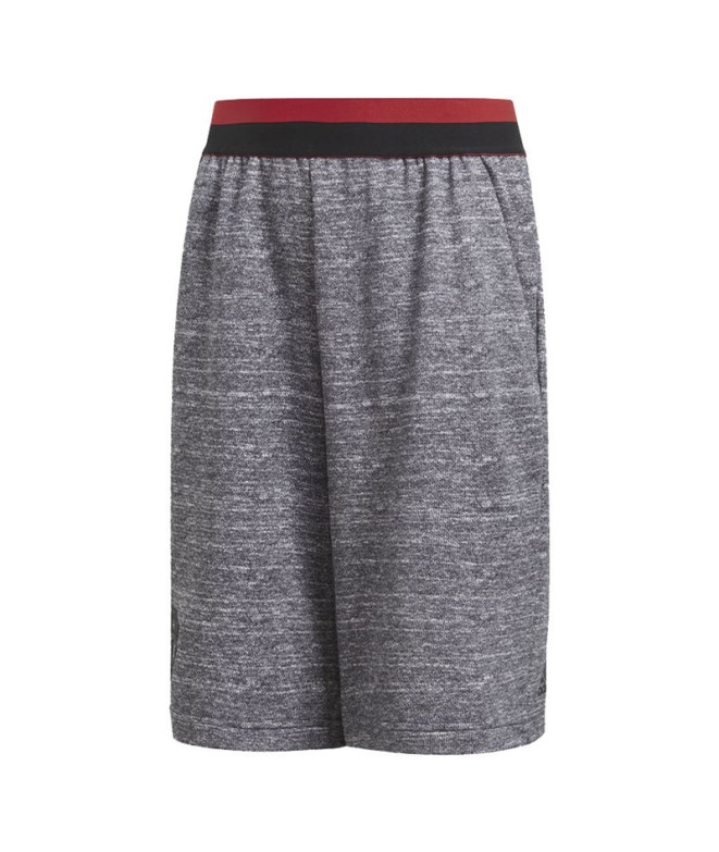 Pantalon Short adidas Manchester United Gris