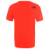 T-Shirt Montagne The North Face Fine Man